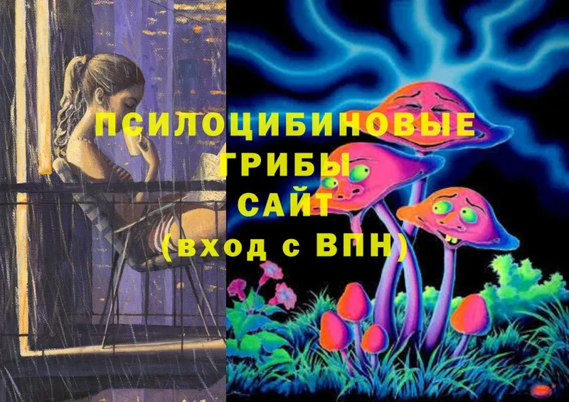 Псилоцибиновые грибы Magic Shrooms  Богучар 